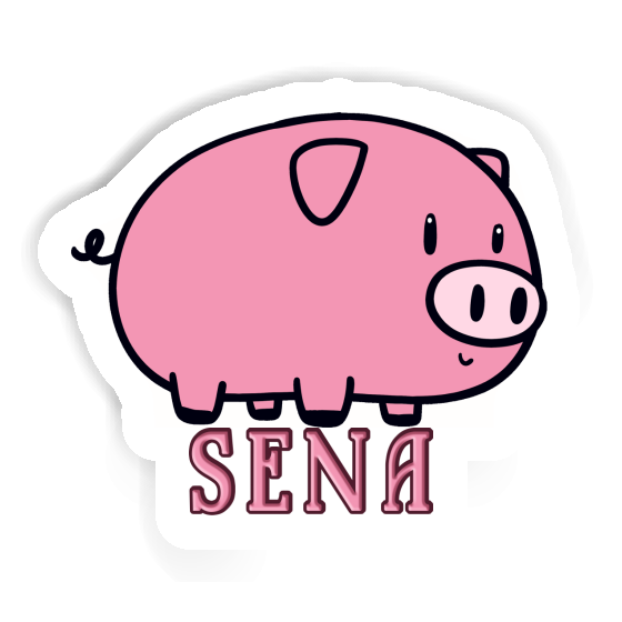 Sena Sticker Schwein Laptop Sena Sticker Schwein Laptop Image