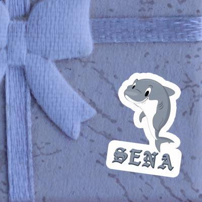 Sticker Shark Sena Sticker Shark Sena Image
