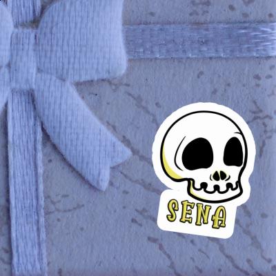 Skull Sticker Sena Notebook Skull Sticker Sena Gift package Image