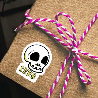 Skull Sticker Sena Notebook Skull Sticker Sena Notebook Image