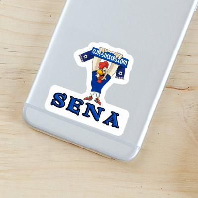 Sticker Hahn Sena Notebook Sticker Hahn Sena Gift package Image