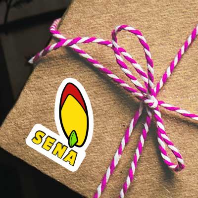 Sena Sticker Surfboard Notebook Sena Sticker Surfboard Gift package Image