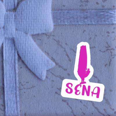 Sena Sticker Windsurfer Notebook Sena Sticker Windsurfer Gift package Image