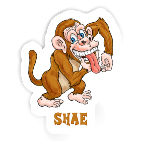 Shae Sticker Ape Image