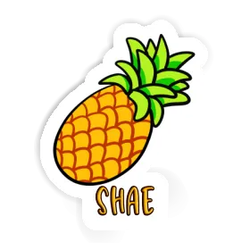 Shae Autocollant Ananas Image