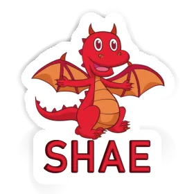 Shae Sticker Baby Dragon Image