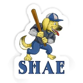 Sticker Shae Dog Image