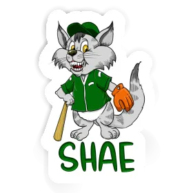 Shae Sticker Baseball Cat Image