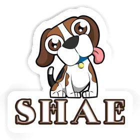 Beagle Autocollant Shae Image