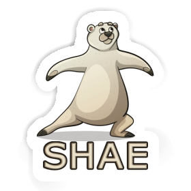 Sticker Shae Bear Image