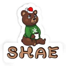 Sticker Shae Christmas Bear Image