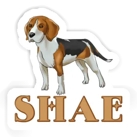 Sticker Shae Beagle Dog Image