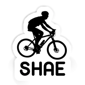 Shae Sticker Biker Image