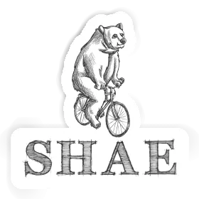 Shae Sticker Bear Image