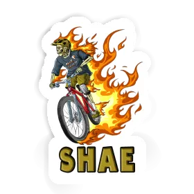 Sticker Freeride Biker Shae Image