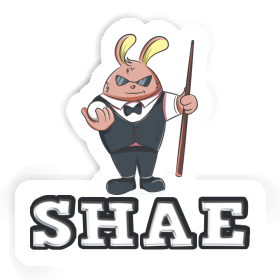 Shae Sticker Rabbit Image