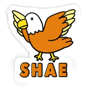 Sticker Shae Bird Image