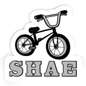 BMX Aufkleber Shae Image