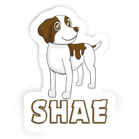 Shae Aufkleber Spaniel Image