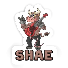 Sticker Shae Rocking Bull Image