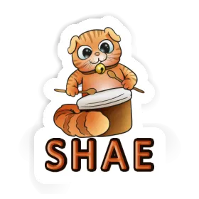 Shae Sticker Drummer Cat Image