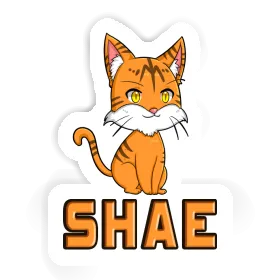 Sticker Cat Shae Image