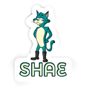 Sticker Shae Cat Image