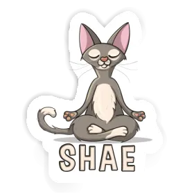 Shae Sticker Yoga Cat Image