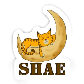 Shae Sticker Cat Image