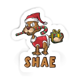 Sticker Shae Christmas Cat Image