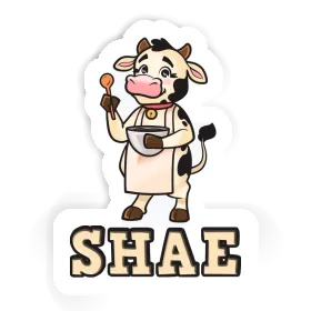 Shae Sticker Cook Image