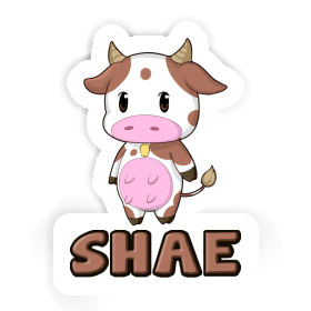 Sticker Shae Cow Image