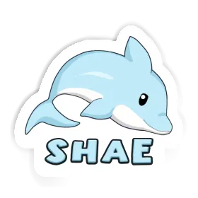 Dolphin Sticker Shae Image