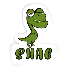 Shae Sticker Dino Image