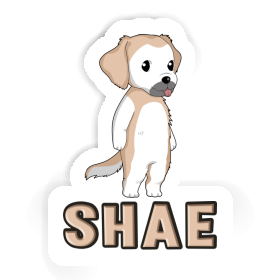 Sticker Shae Golden Retriever Image