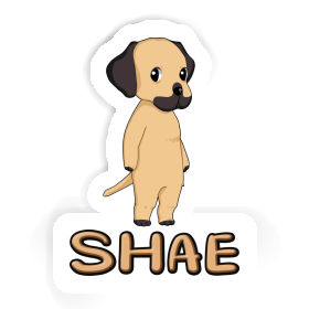 Shae Sticker Rhodesian Ridgeback Image