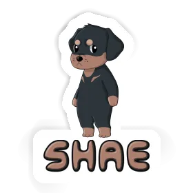 Shae Sticker Rottweiler Image