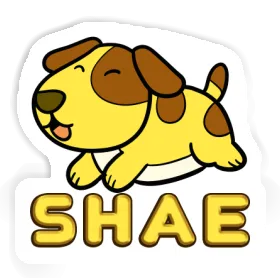 Sticker Hund Shae Image