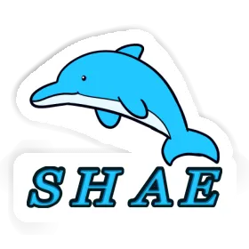 Dolphin Sticker Shae Image