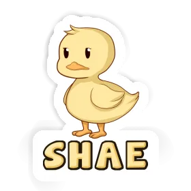 Sticker Duck Shae Image