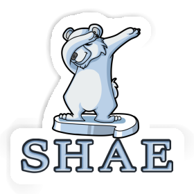 Sticker Shae Bear Image