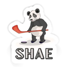 Sticker Shae Bear Image