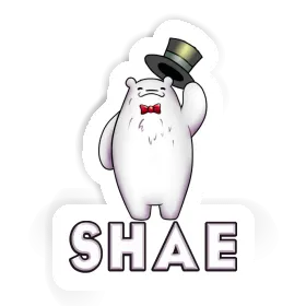 Sticker Shae Icebear Image