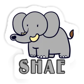 Sticker Elephant Shae Image