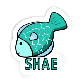 Sticker Fish Shae Image