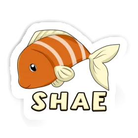 Sticker Shae Fish Image