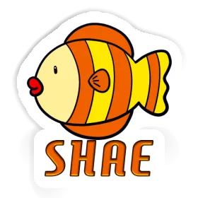 Fish Sticker Shae Image