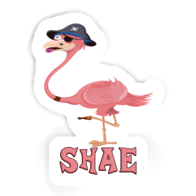 Flamingo Sticker Shae Image