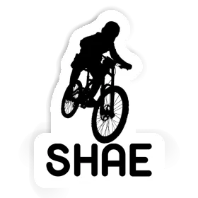 Shae Sticker Freeride Biker Image