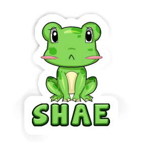 Sticker Frog Shae Image